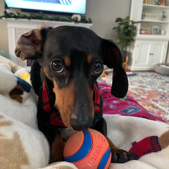 Meet the Posher, Deb - Picture 11 of 14